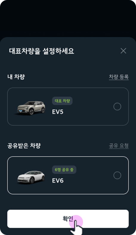 대표 차량으로 설정