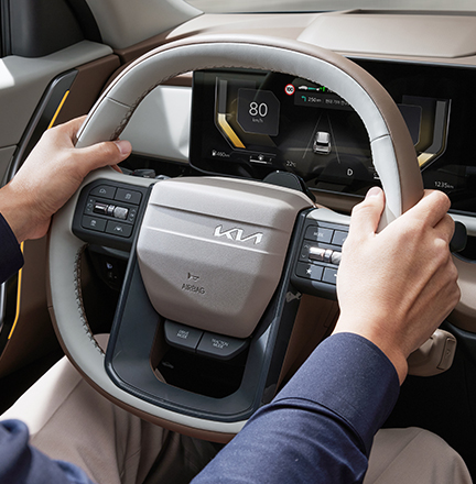 스티어링 휠 그립 감지