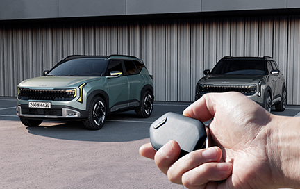 원격 스마트 주차보조